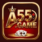 A55 Game-image