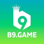 B9 Game