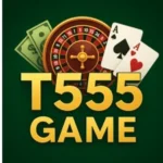 T555 Game-image
